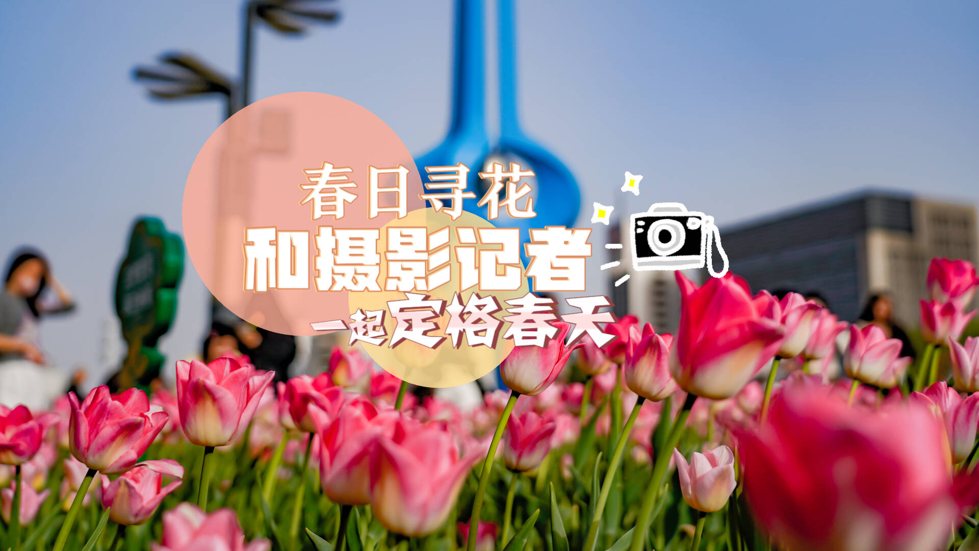 第一视角春日寻花 和摄影记者一起定格春天