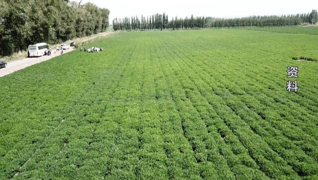 潍坊：奋力打造全国农业开放发展新高地 助推中国先进农业技术“走出去”