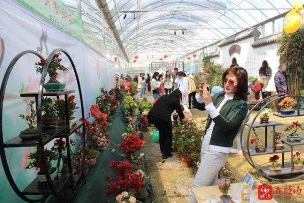 沂州花卉市场图片