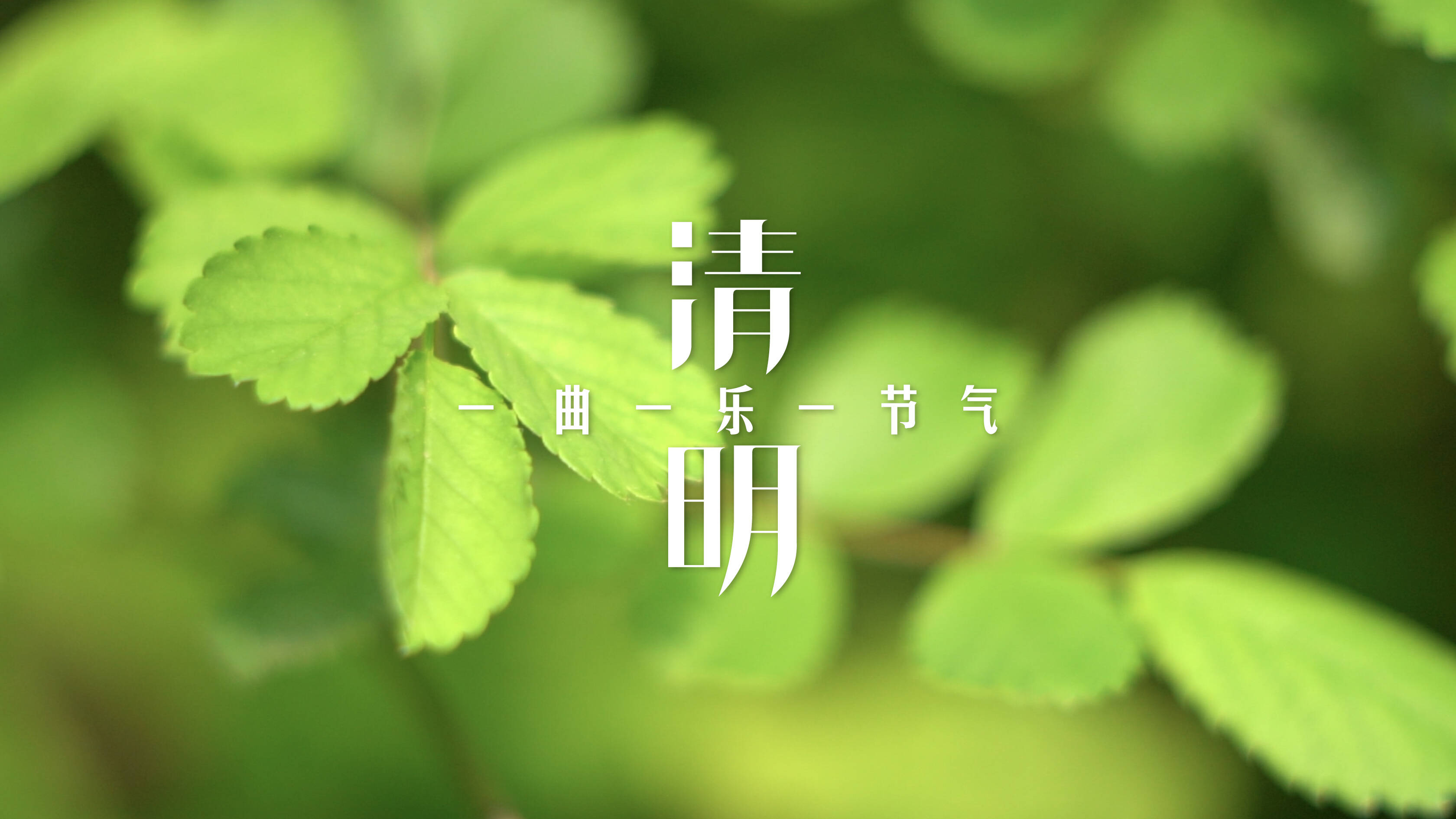 一曲一乐一节气·清明｜听一曲古筝弹奏《穿越时空的思念》 在无边风月中感受人间情思