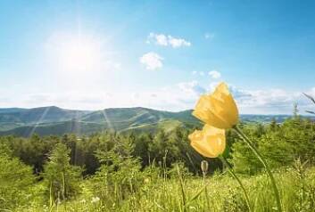 清明假期山东天气以晴好为主，气温逐步回升，最高温达25℃左右