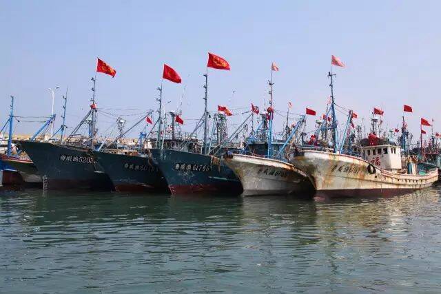 东营开展2024年黄河禁渔期专项执法行动