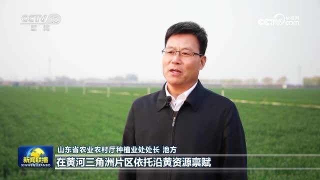 央视新闻联播关注淄博强化区域布局系统化打造高产示范片区