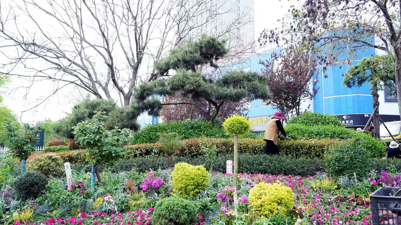 枣庄薛城加强绿化建设管理 着力提升城市品质