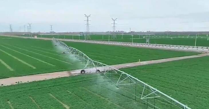 东营市广饶县：看！智能灌溉为小麦“解渴”