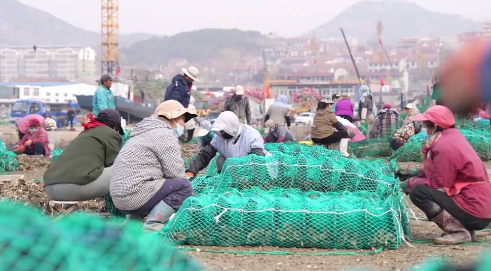 日照岚山：海上春耕季 渔民“播种”忙