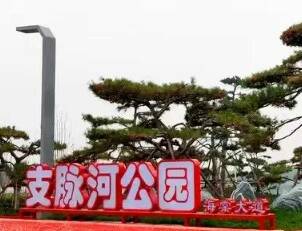 博興縣首屆遇見海棠·支脈河春游文化節公交運行方案