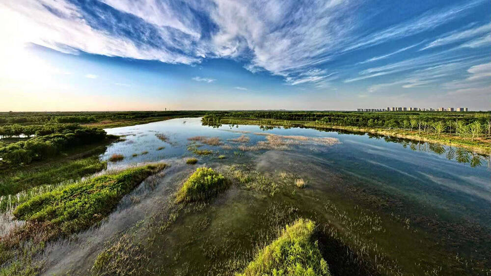 “五横四纵三十库、百园千河万水塘” 德州市湿地保护规划公开征求意见