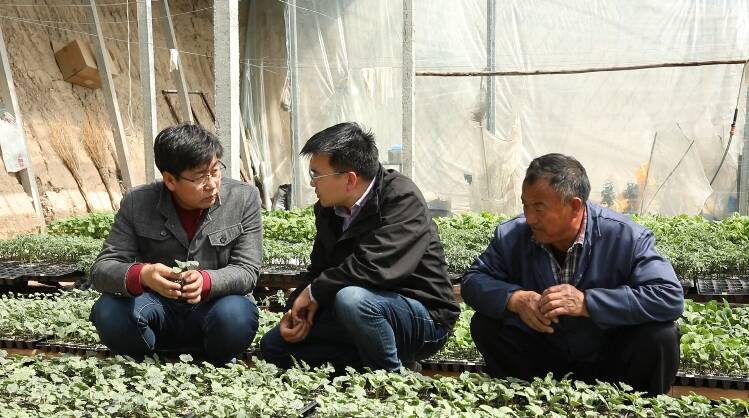 潍坊近百支技术服务队扎根一线 为作物丰产、农民增收保驾护航
