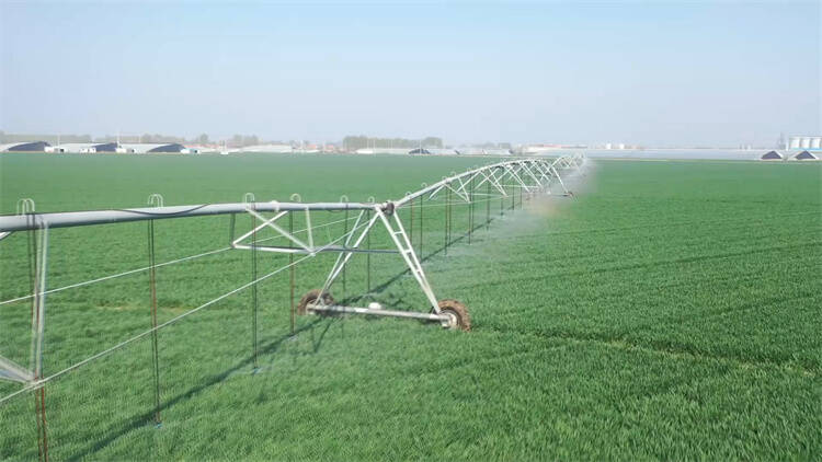 东营：灌溉农田196万亩 科技赋能现代农业发展