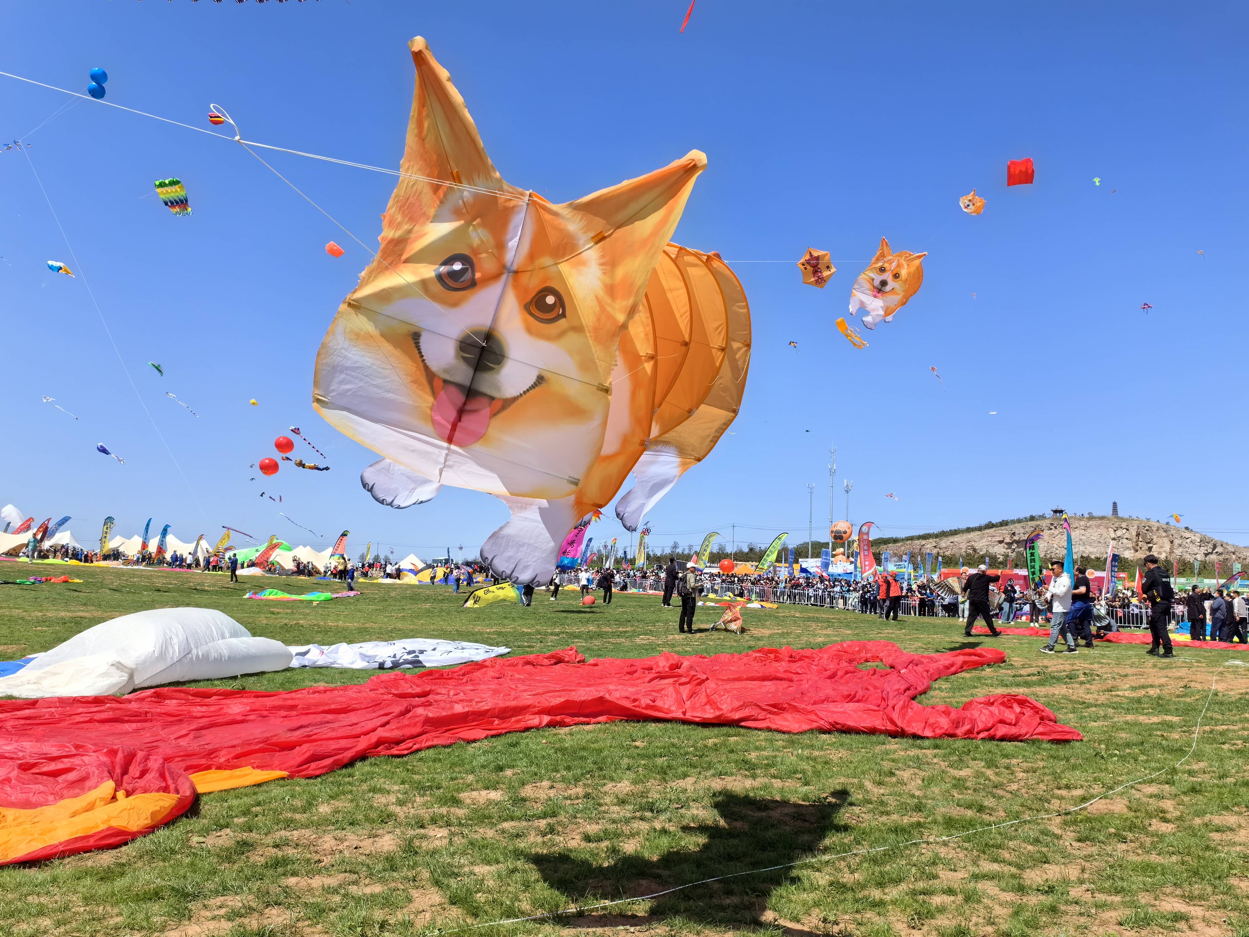 想象力飞上天 来第41届潍坊国际风筝会看限定版“四月天”