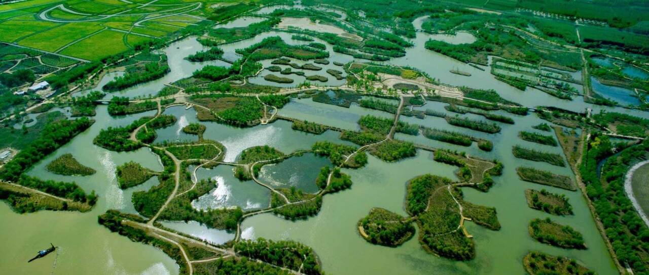 了解湿地认识湿地 济南举办湿地自然教育活动