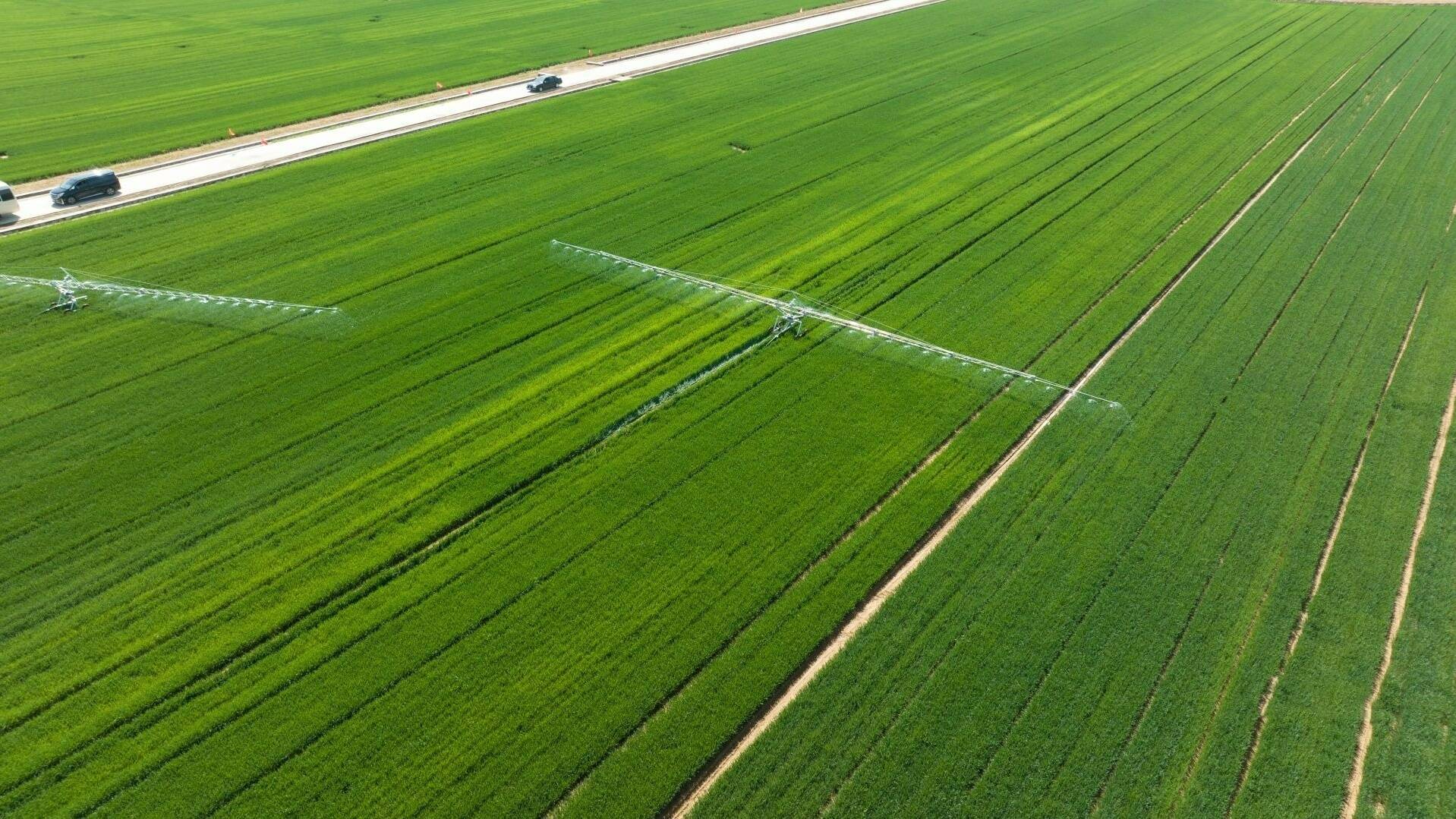青岛累计建成高标准农田449.66万亩，今年350余万亩小麦“一喷三防”全覆盖