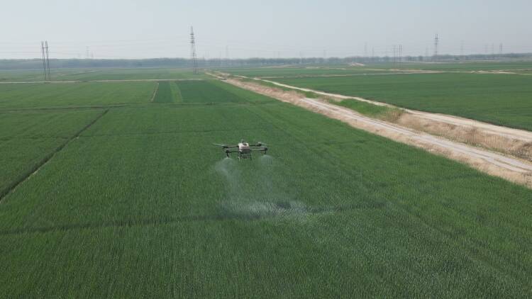 东营：19.9万亩小麦全覆盖 316台无人机助力小麦飞防