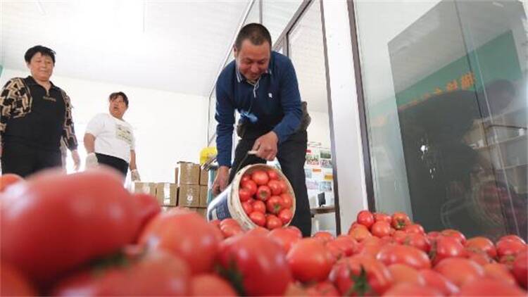 东营市东营区：打造新型供销模式  源头直采直供 “订单蔬菜”助农增收