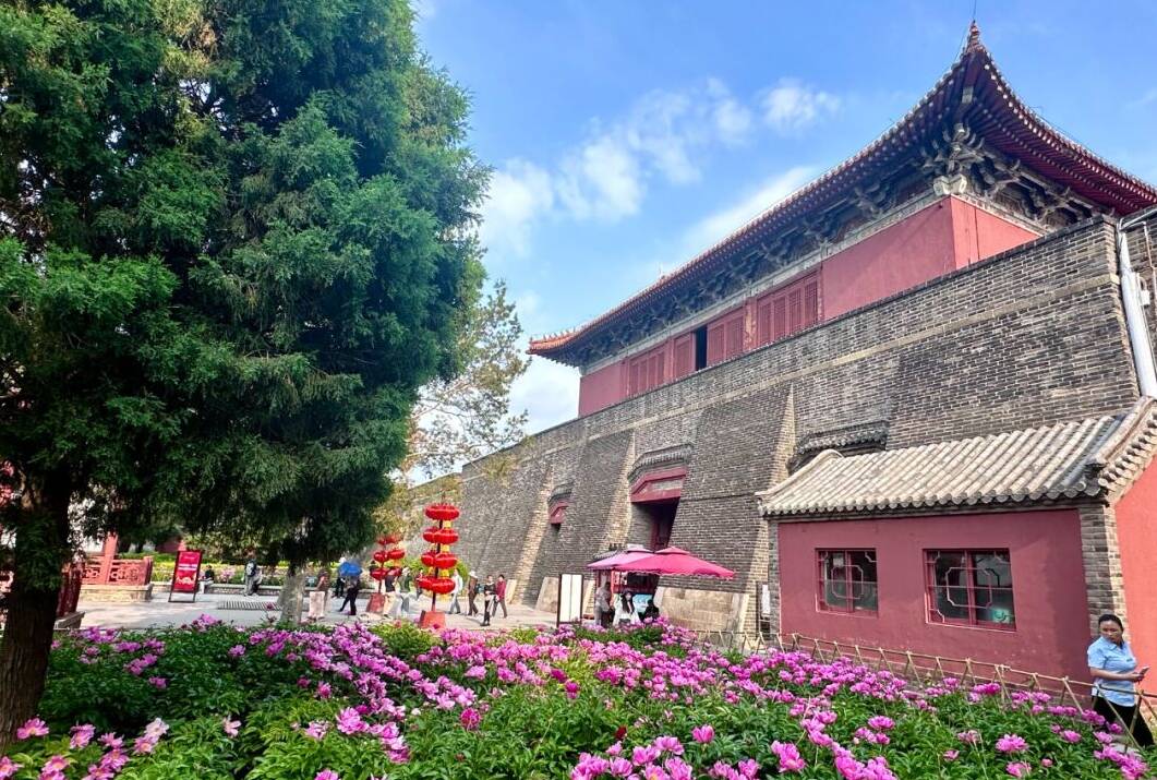 花开泰安丨暮春泰山着翠色 岱庙芍药惹人迷