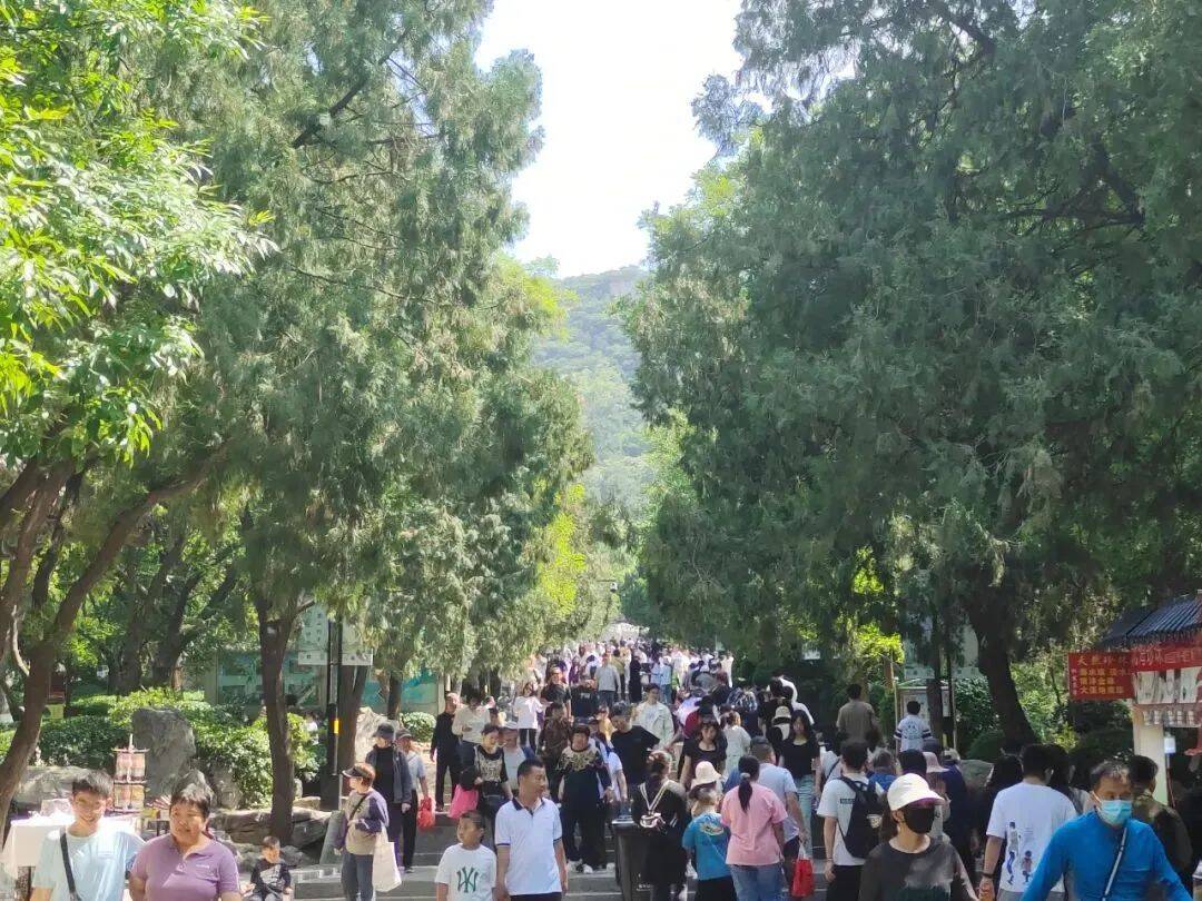五一假期济南市属公园景区接待游客234.24万人次