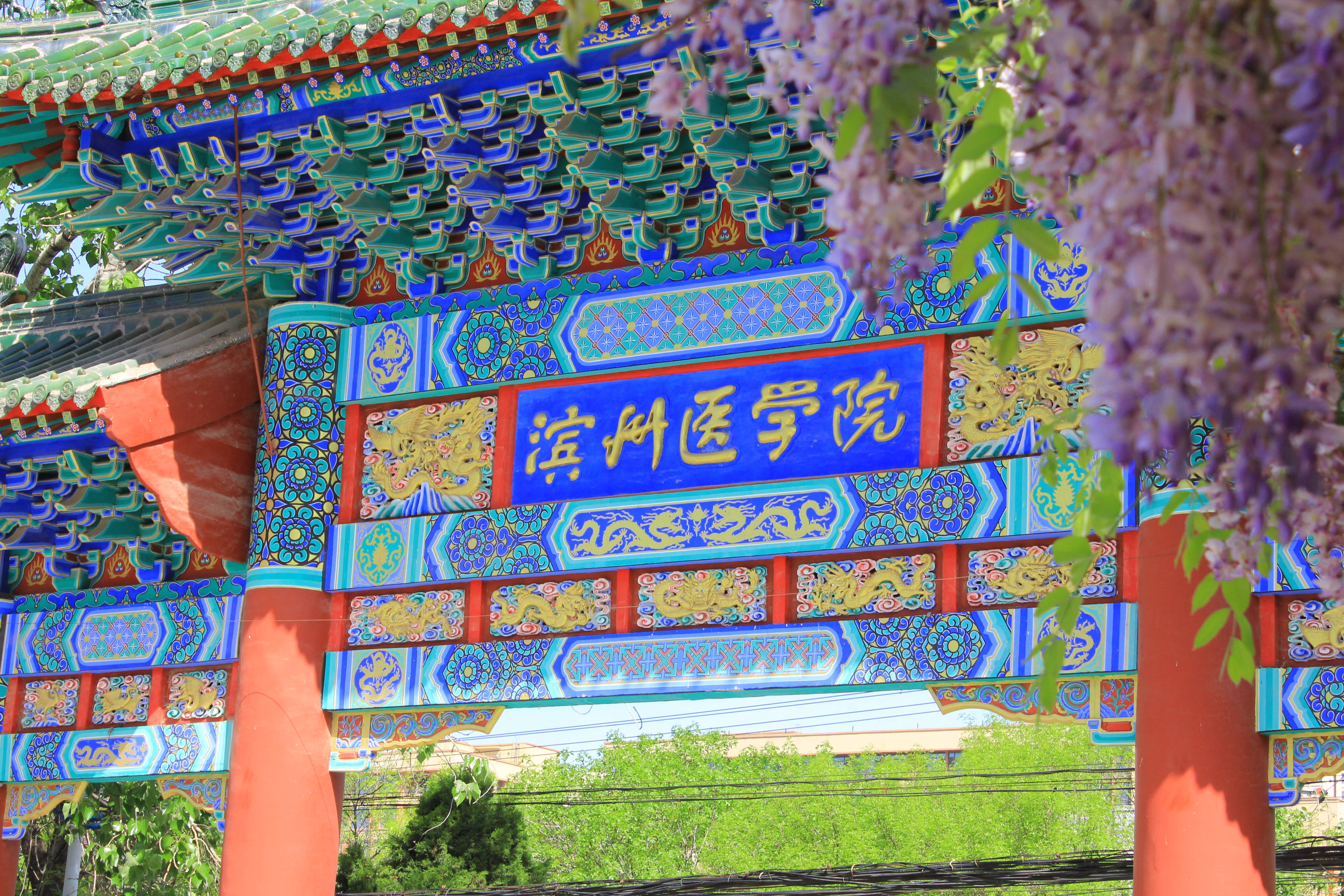 闪电号>校园>滨州医学院>5184_3456