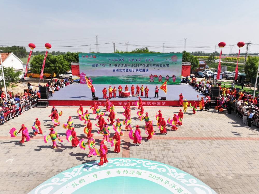 陽信：百畝芍藥花開 游人紛至沓來?