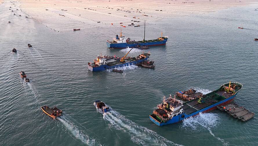 500余萬籠鮑魚苗來榮成“度夏” “南北轉場”縮短養殖周期提升收益