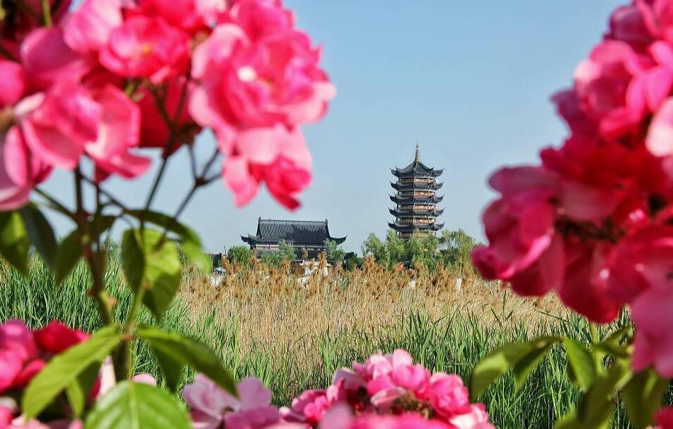 綠意蔥蘢 姹紫嫣紅 初夏東平湖繁花競放