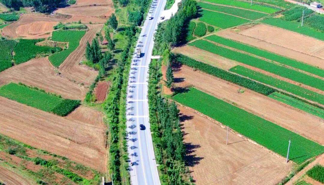  The "Ten Most Beautiful Rural Roads" in 2023 will be unveiled! This road in Shandong Province is on the list