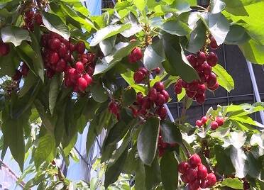 青春当先开新局丨东方航天港：为中国航天产业贡献青春力量