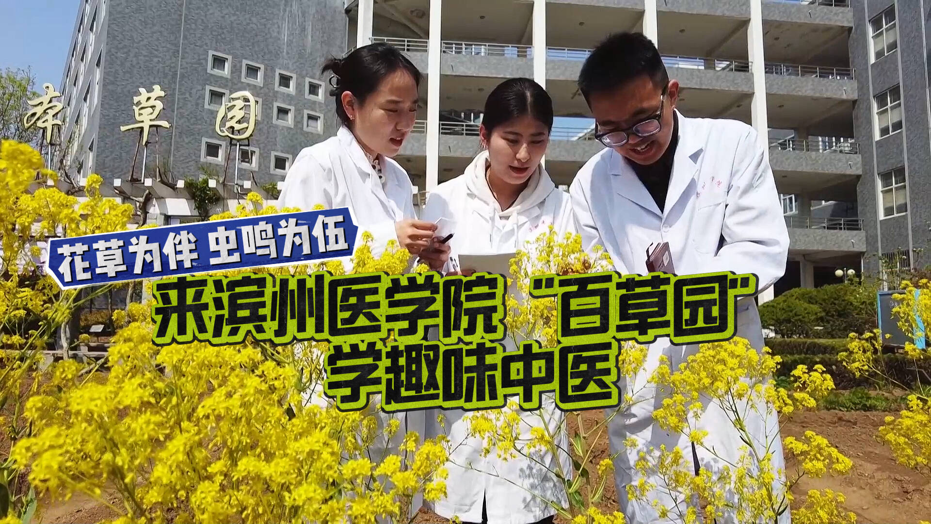 ”宝藏”专业在哪里丨花草为伴虫鸣为伍 来滨州医学院”百草园”学趣味中医