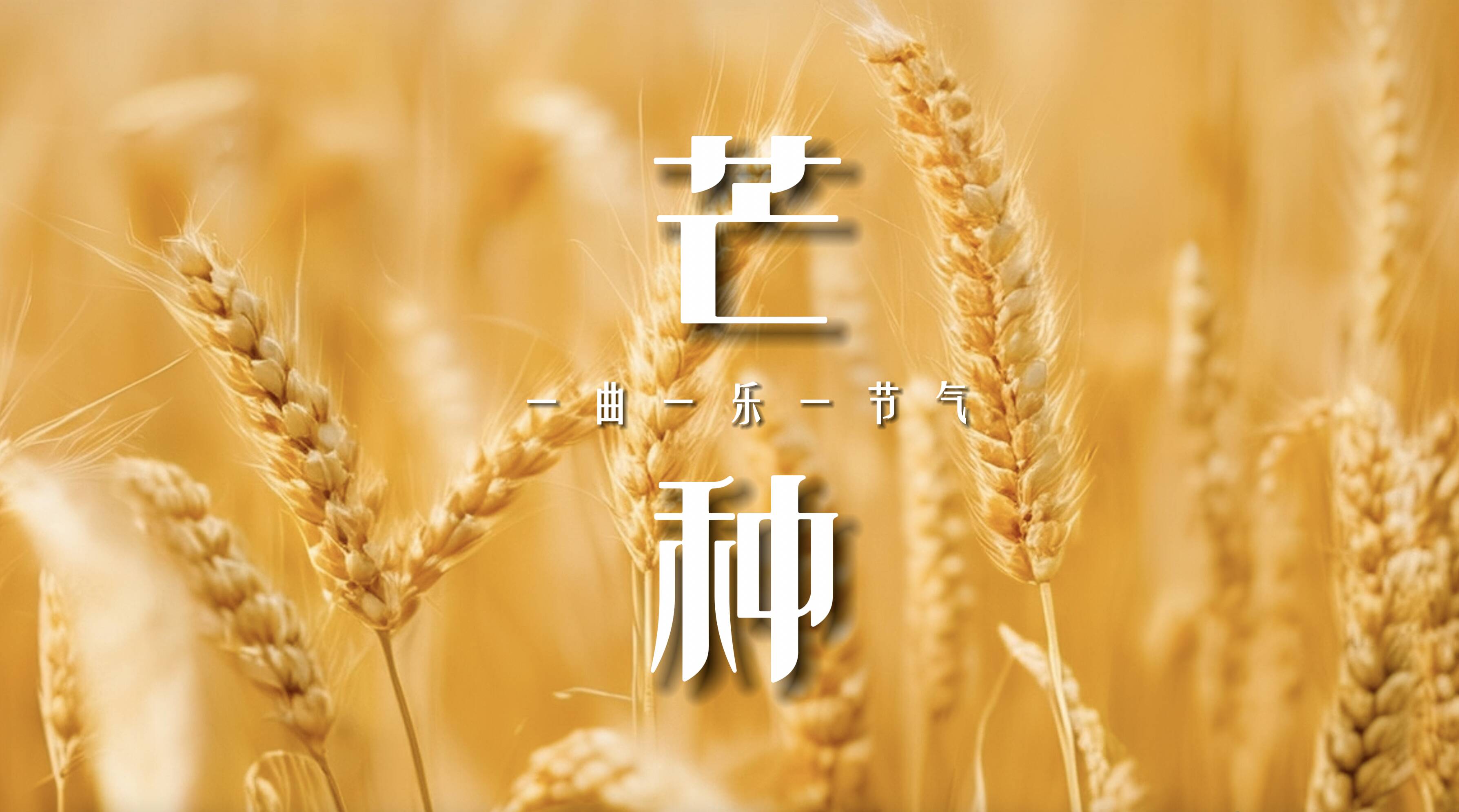 一曲一樂一節氣·芒種｜是播種也是收獲 聽小提琴奏響“最夏天”的滋味