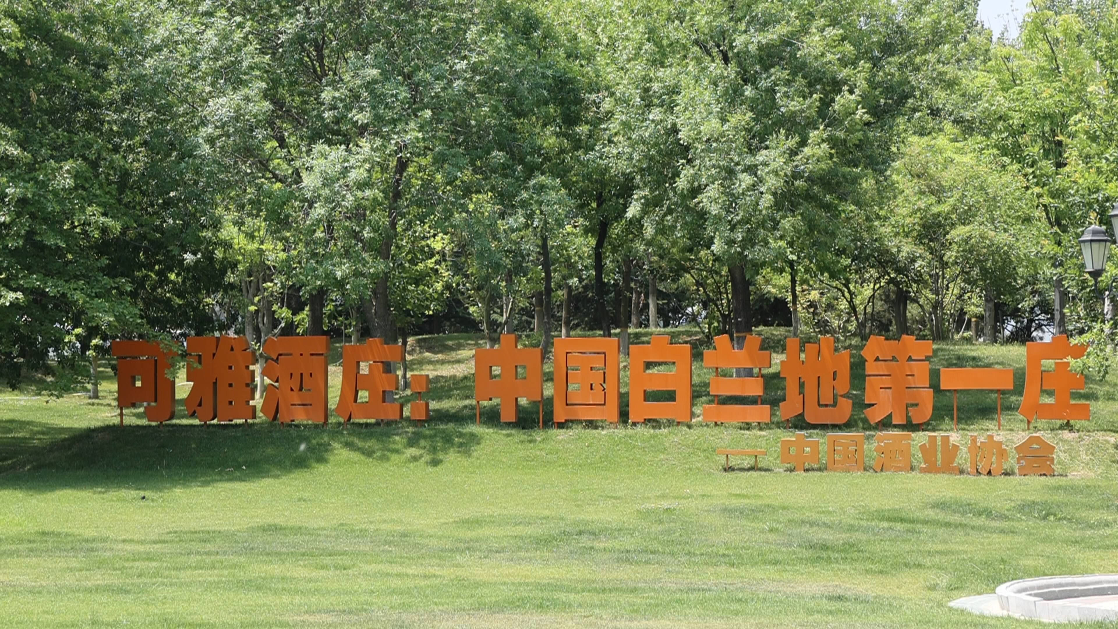 來山東赴一場甜蜜盛宴！駐華使節點贊山東大櫻桃