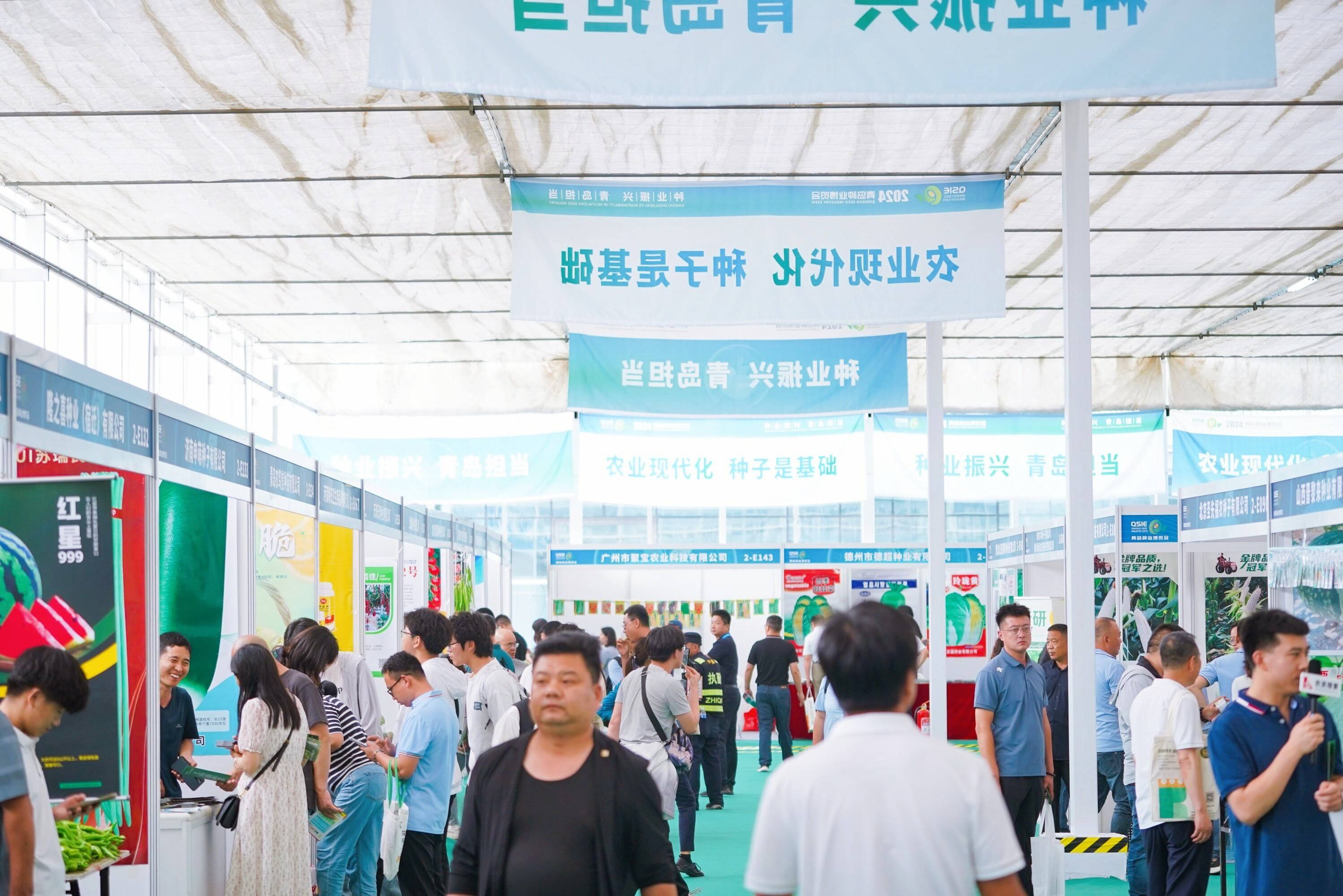 2024青岛首届种业博览会在青岛西海岸新区开幕