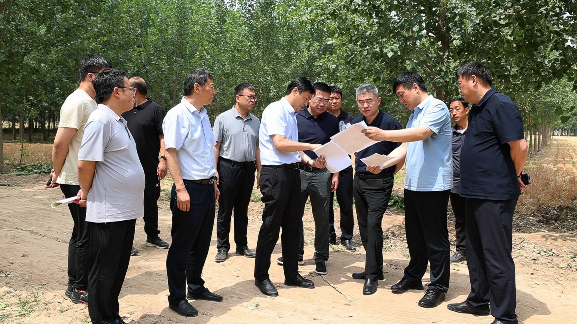  Questioning and Tracking | Linqing: Strengthen daily inspection and supervision, control the newly added clearing stock, actively and steadily promote the rectification and restoration of cultivated land