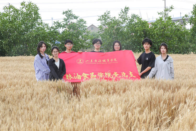 山东商务职业学院开展“以麦为堂 承托梦想”主题活动