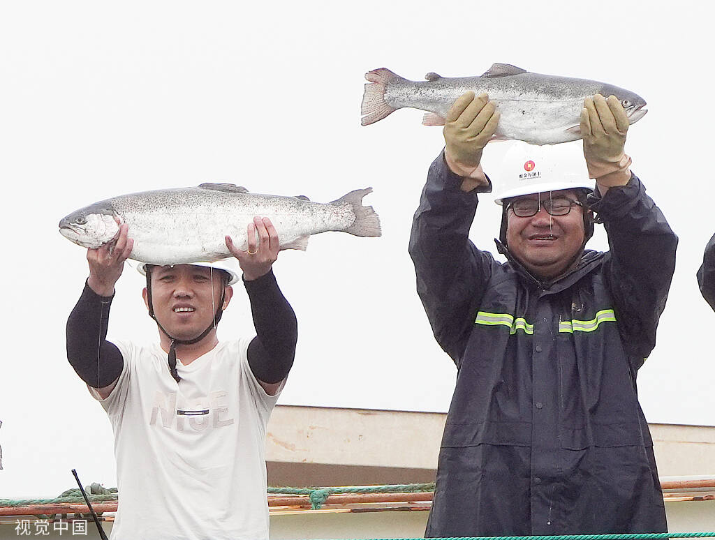 一尾魚“游”出一條鏈！《新華每日電訊》點贊山東日照