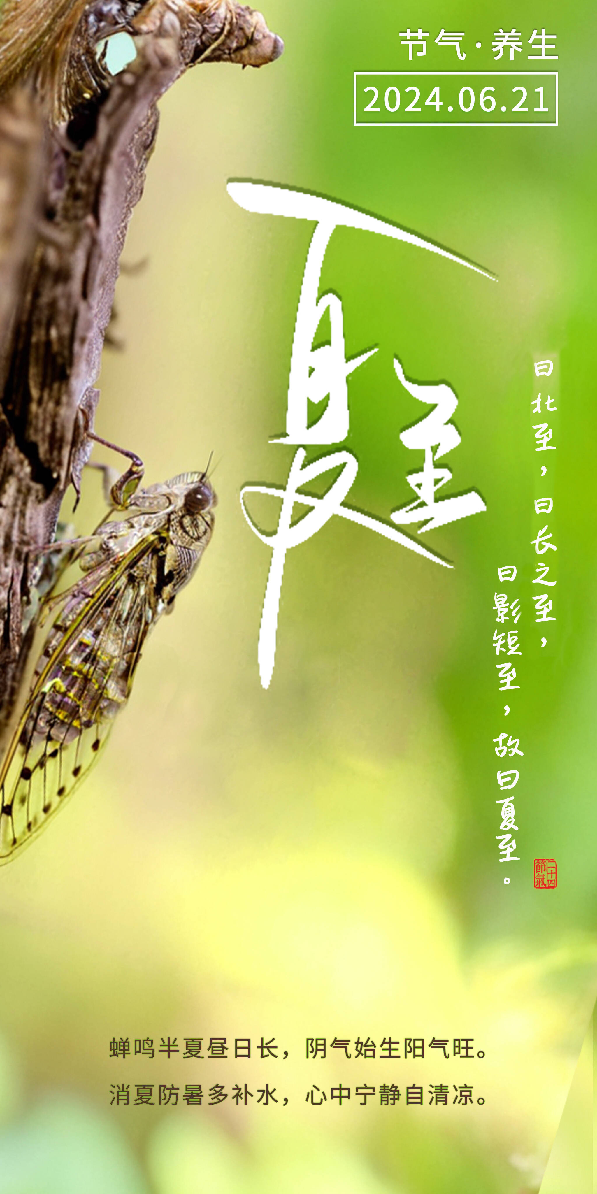 【夏至海报】消夏防暑多补水 心中宁静自清凉