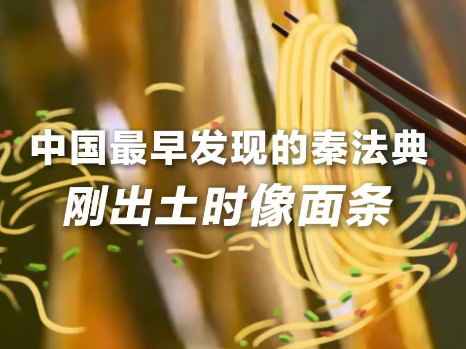 中国最早发现的秦法典，出土时像面条
