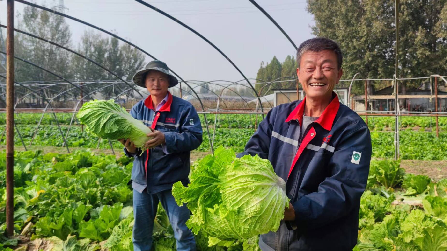 山東能源新礦集團(tuán)： “綠色方案”讓煤礦塌陷地變身美麗生態(tài)園