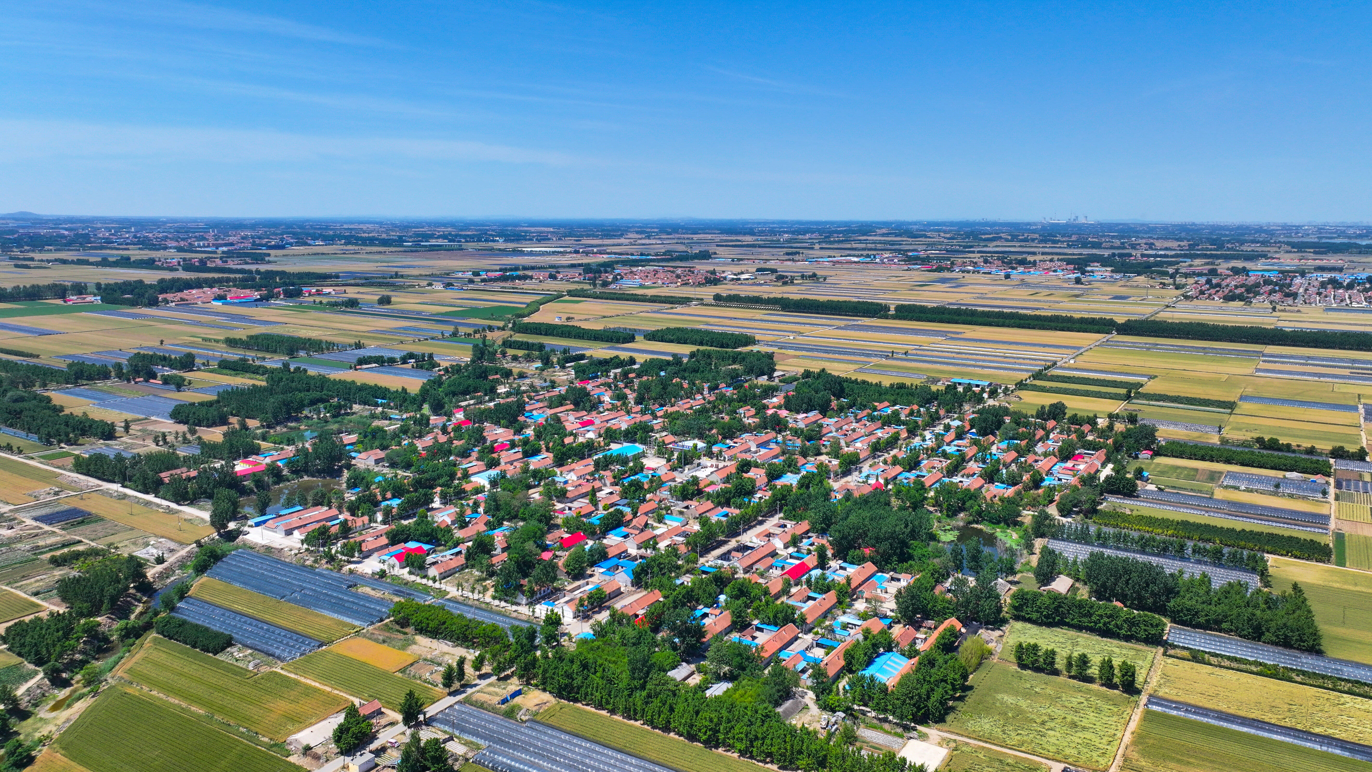 潍坊昌邑市:片区引领  久久为功 乡村振兴拼出"加速度"