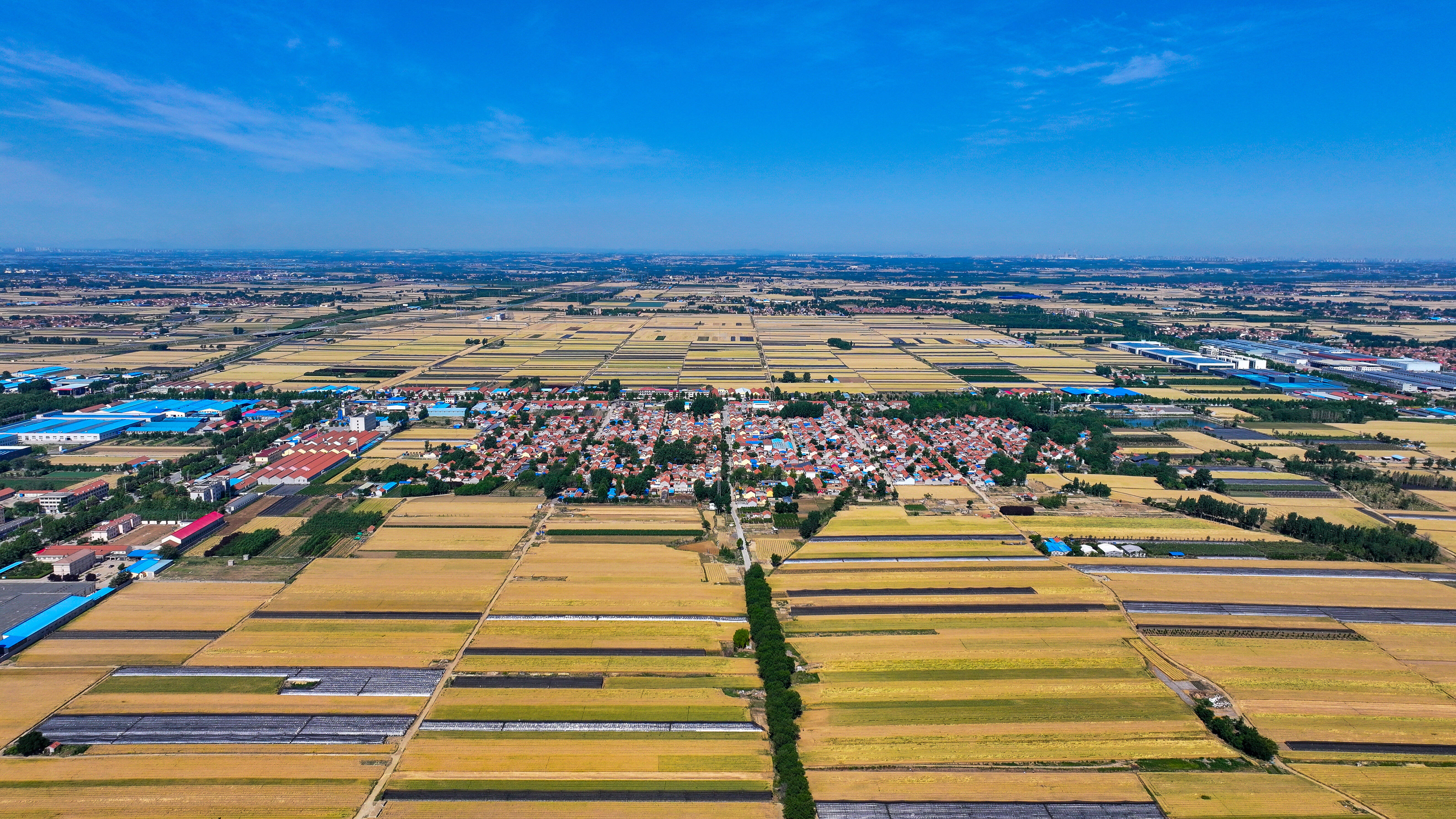 潍坊昌邑市:片区引领  久久为功 乡村振兴拼出"加速度"