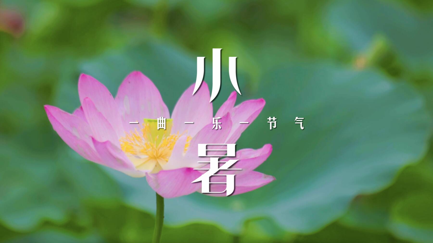 一曲一樂一節氣·小暑｜今日小暑