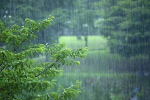 山东继续发布暴雨红色预警，鲁南地区强降雨天气仍将持续