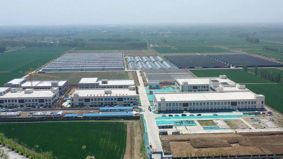 历年最高 泰安4个项目拟获扶持资金2050万元