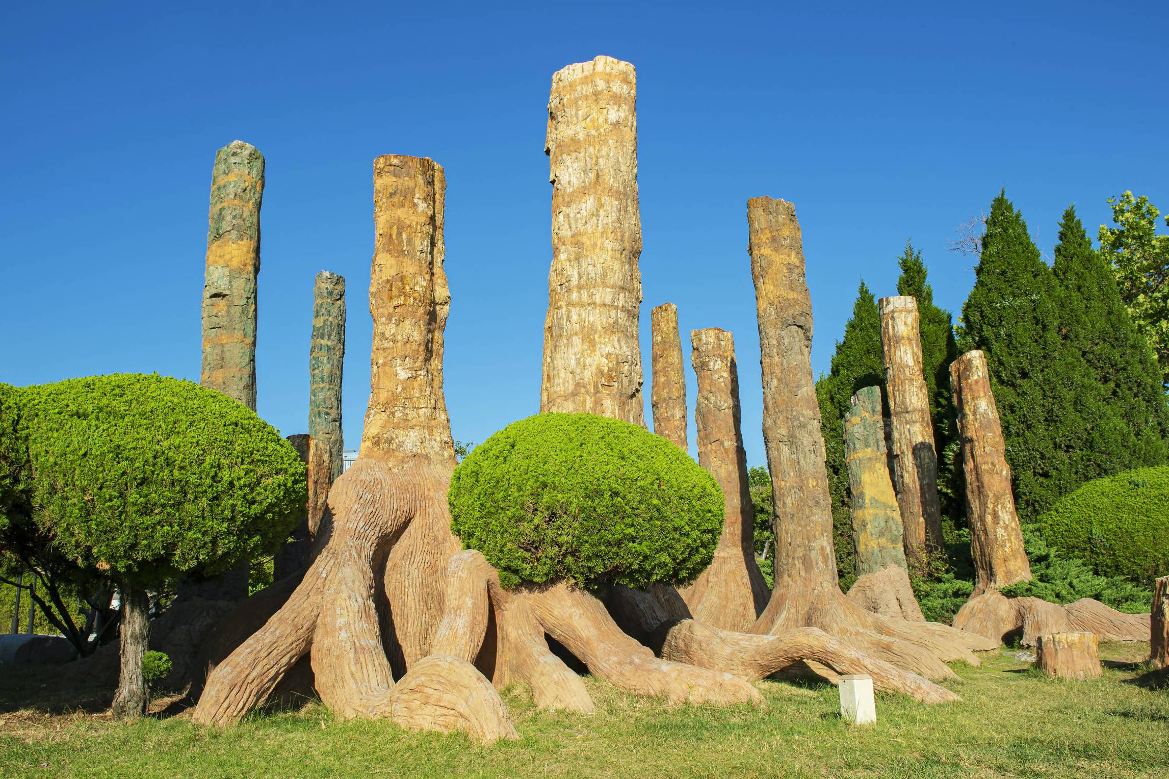 威海公园木化石林立 刻画大自然岁月痕迹