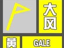 青岛推动企业合法合规信息核查“一件事”