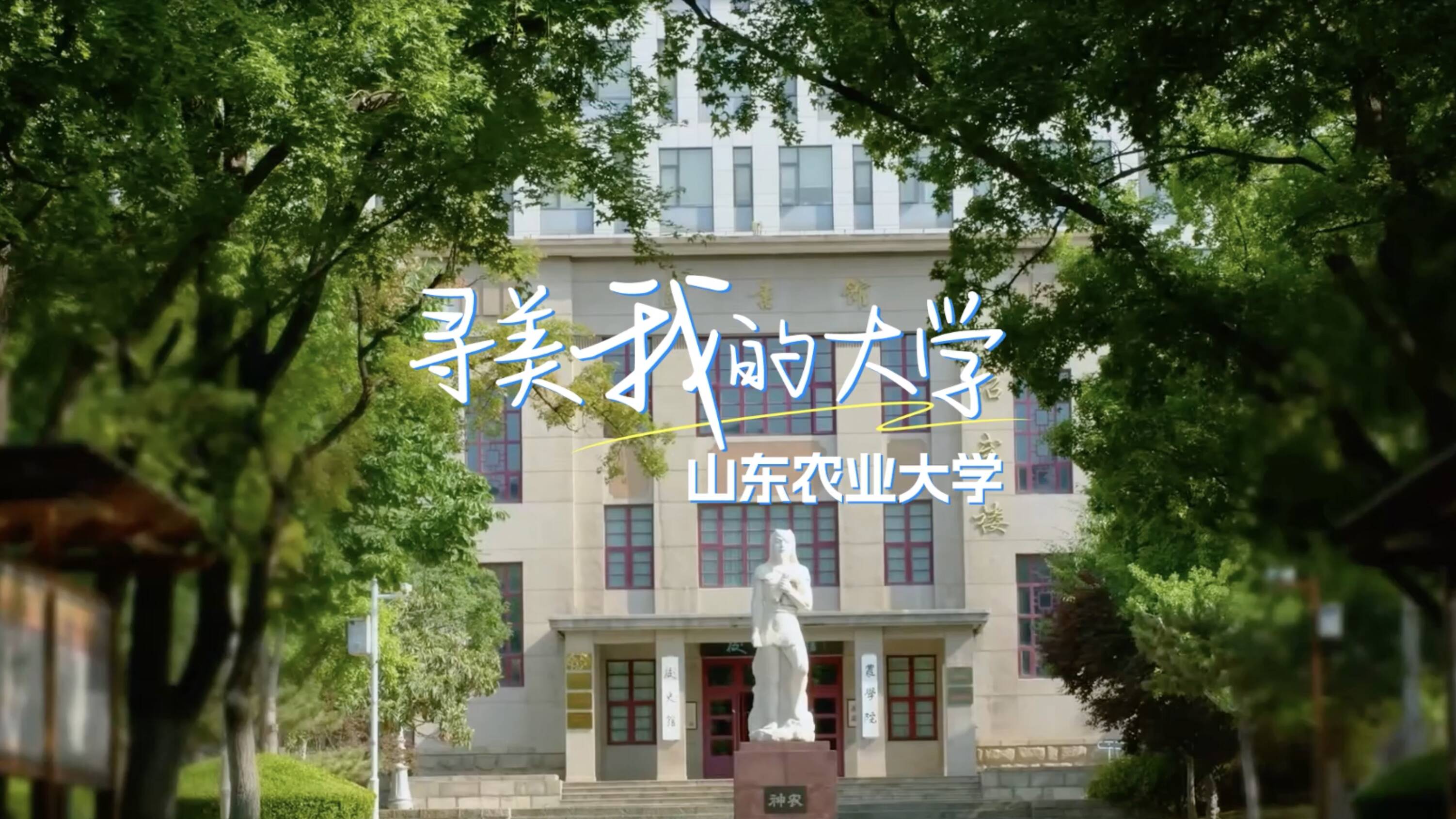 寻美我的大学⑤丨山东农业大学:泰山脚下的学府明珠