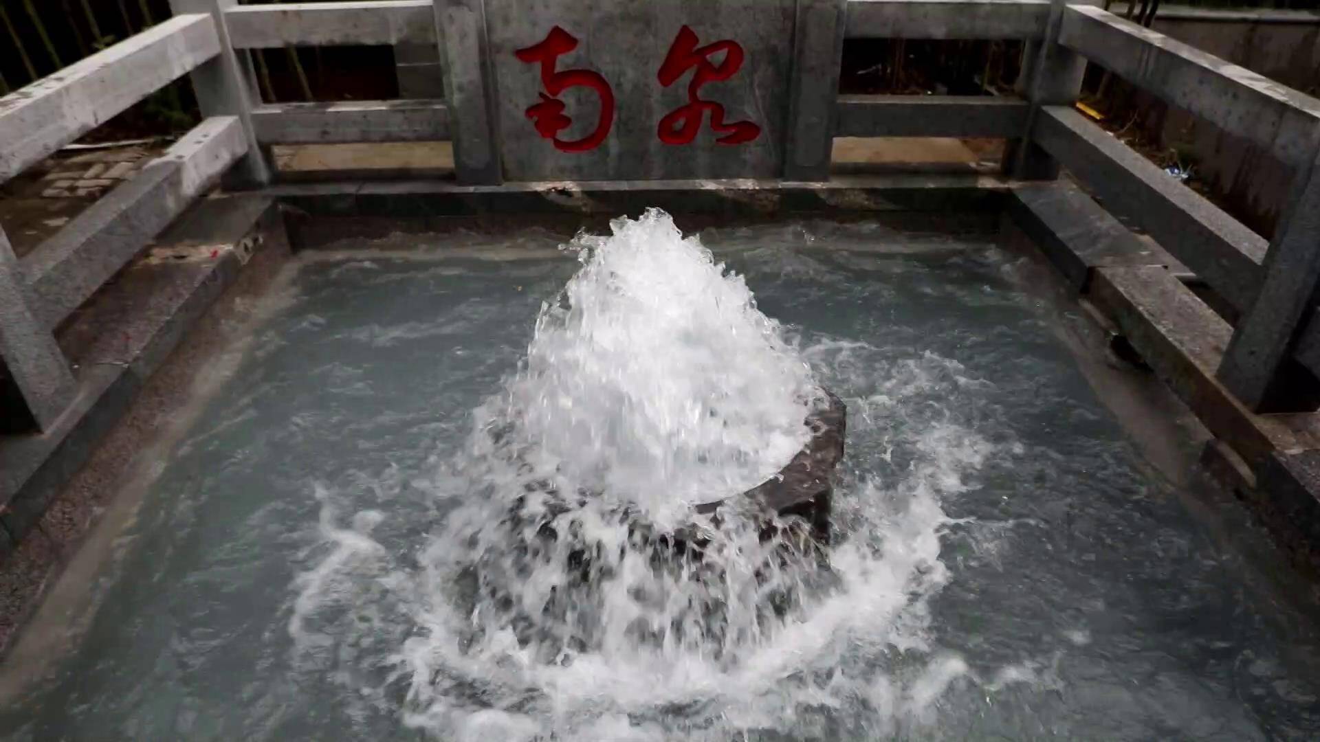 新泰：群泉喷涌 游人池边戏水尽享清凉