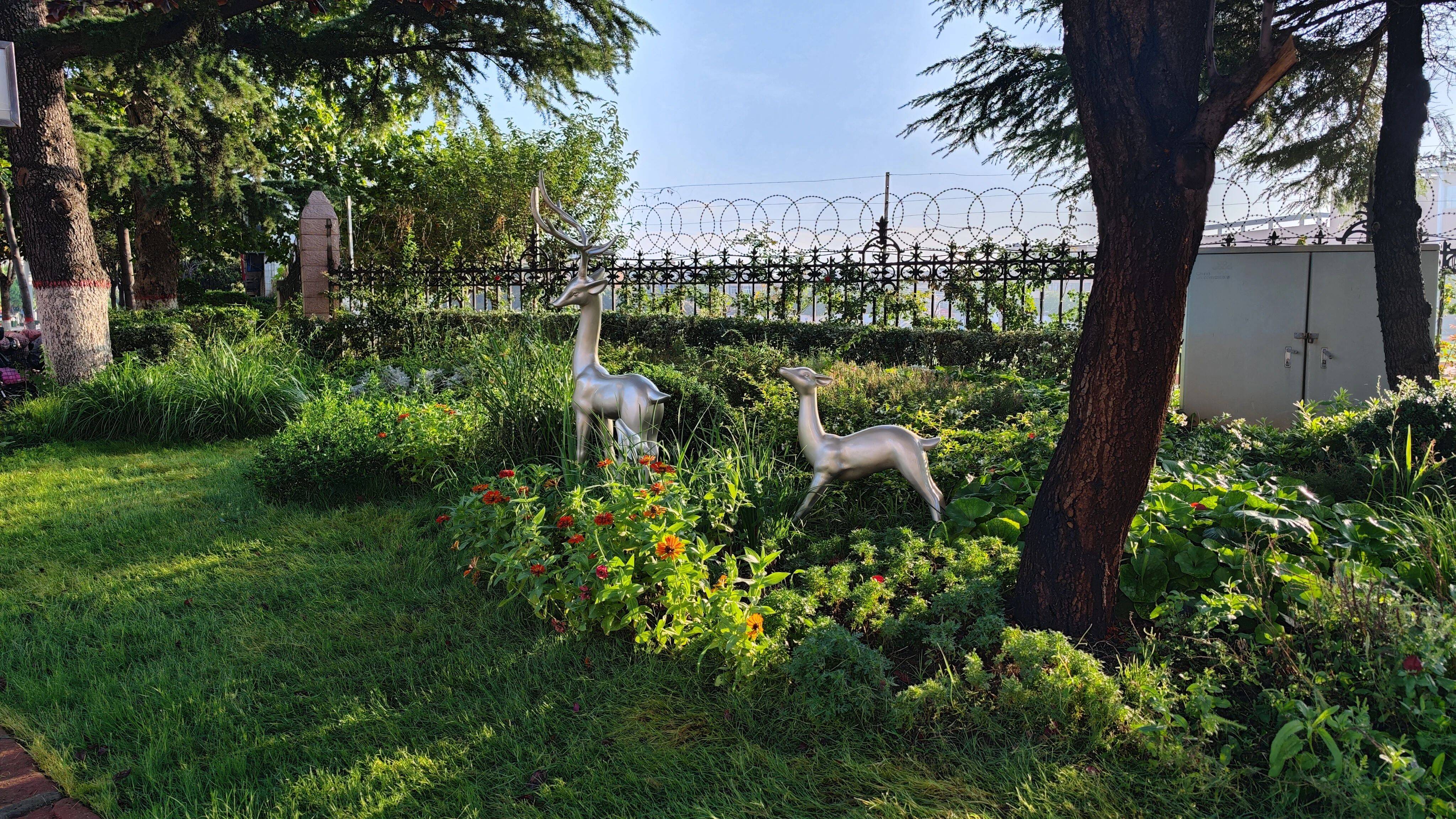 "精灵"出没!枣庄市市中区游园新增动物景观小品