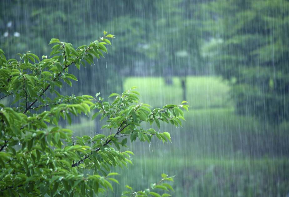 山東繼續發布暴雨藍色預警：菏澤、濟寧等9市局部暴雨并伴有雷電