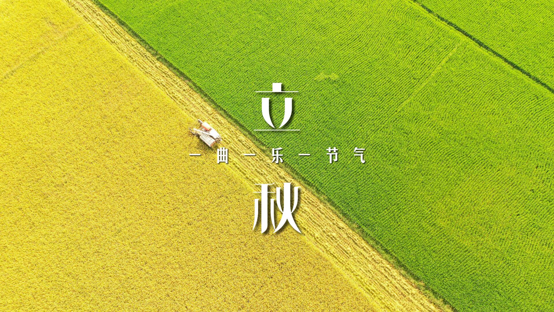 一曲一樂一節氣·立秋｜伴隨《賽馬》的激情旋律 一起感受豐收的喜悅