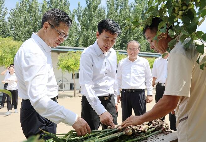 李春田调研城市建设和燃气安全工作